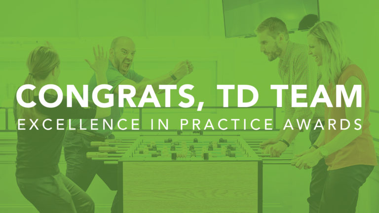 Talent Development team excellence in practice